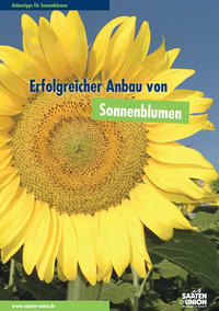 Anbauinfo Sonnenblumen 2024